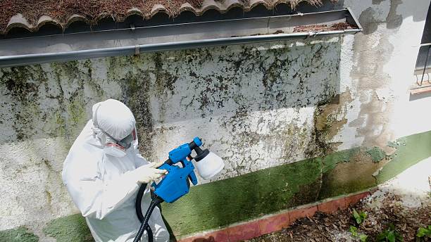 Top rated local Commercial Mold Remediation specialists in Catlett, VA